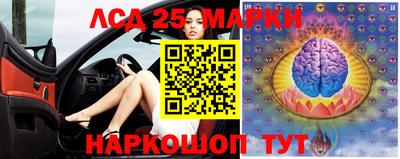 гидропоника Будённовск