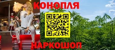 гидропоника Будённовск