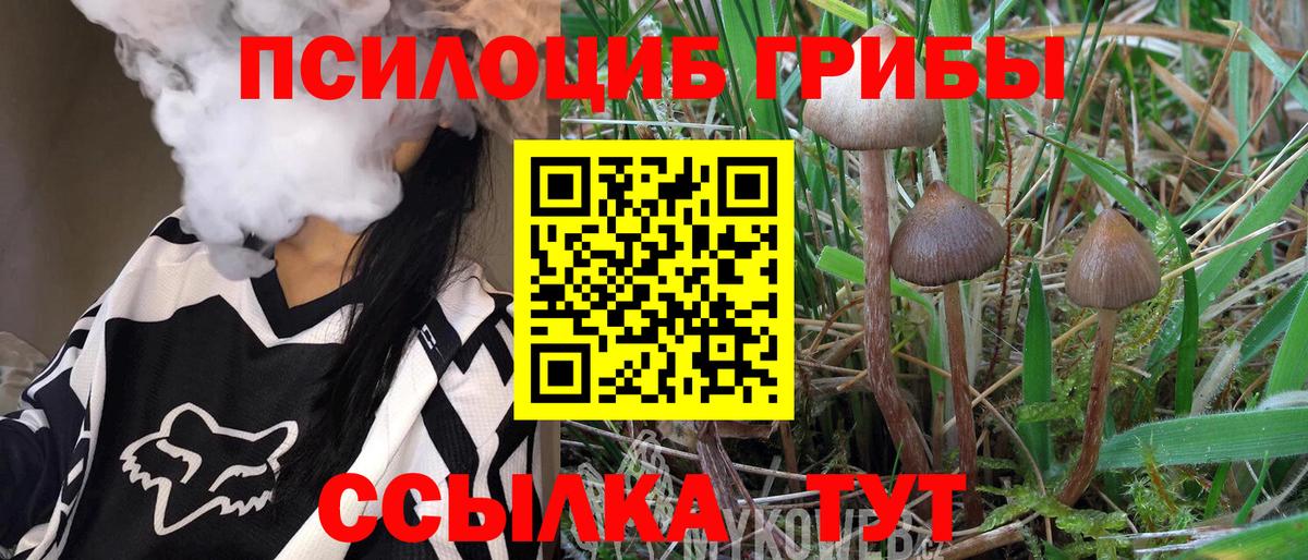 Армавир  Псилоцибиновые грибы ЛСД  Вход с VPN  Галлюциногенные грибы Psilocybe 